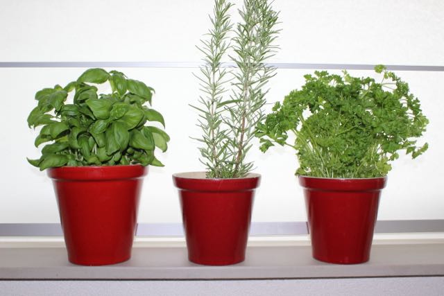 Een Kijkje In De Keuken Van Annemieke Eethetbeter nl Een Kijkje In De Keuken Van Annemieke Eethetbeter nl